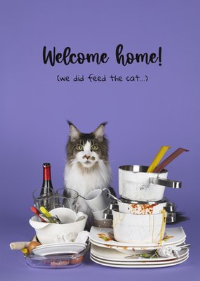 Welkom Thuis We Hebben De Kat Gevoerd Grappige Kat Met Afwas Kaart