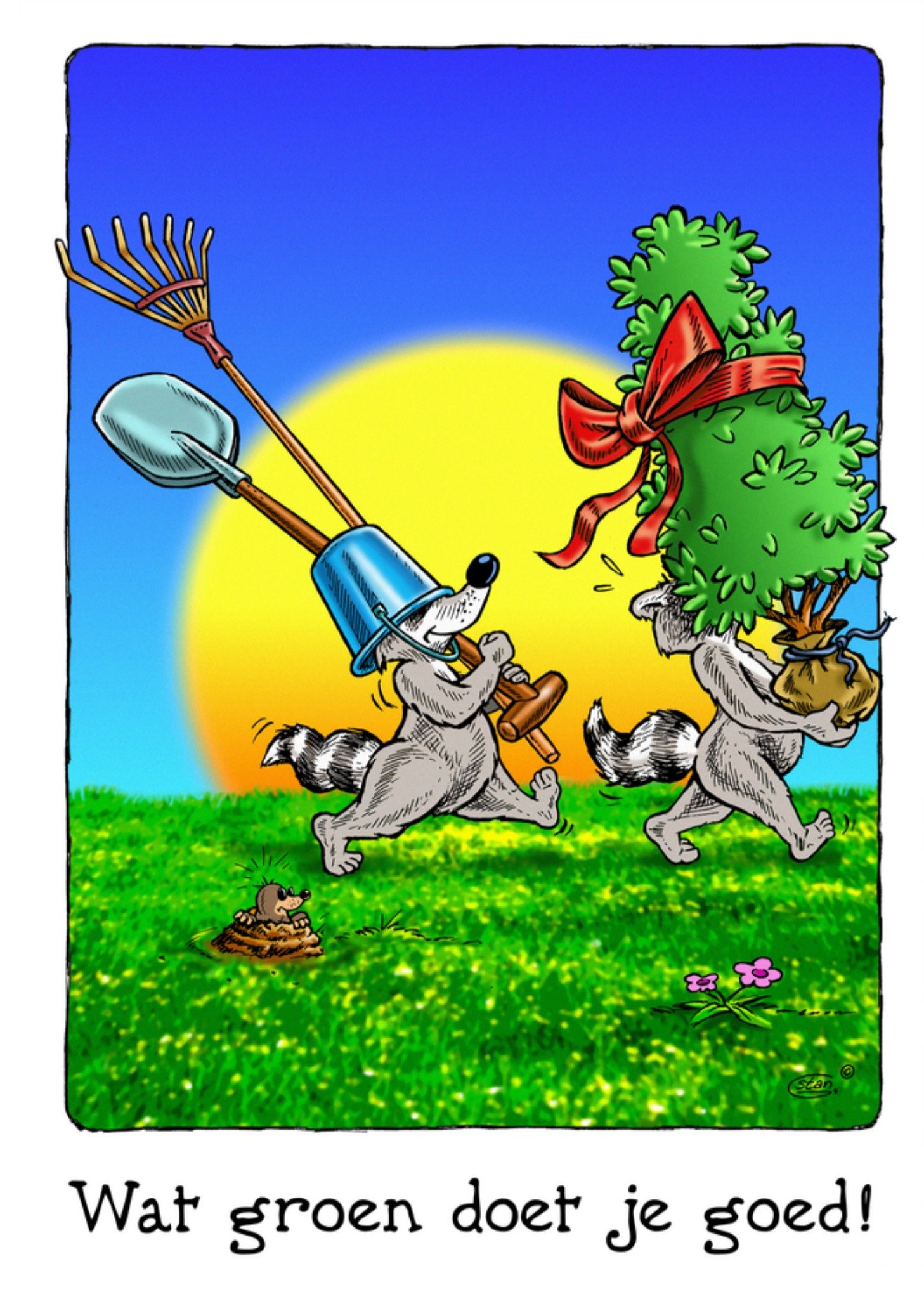 Bengels Denken aan kaart Groen Kaart Stan Groenland