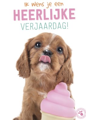 Verjaardagskaart | Studio Pets | Dieren