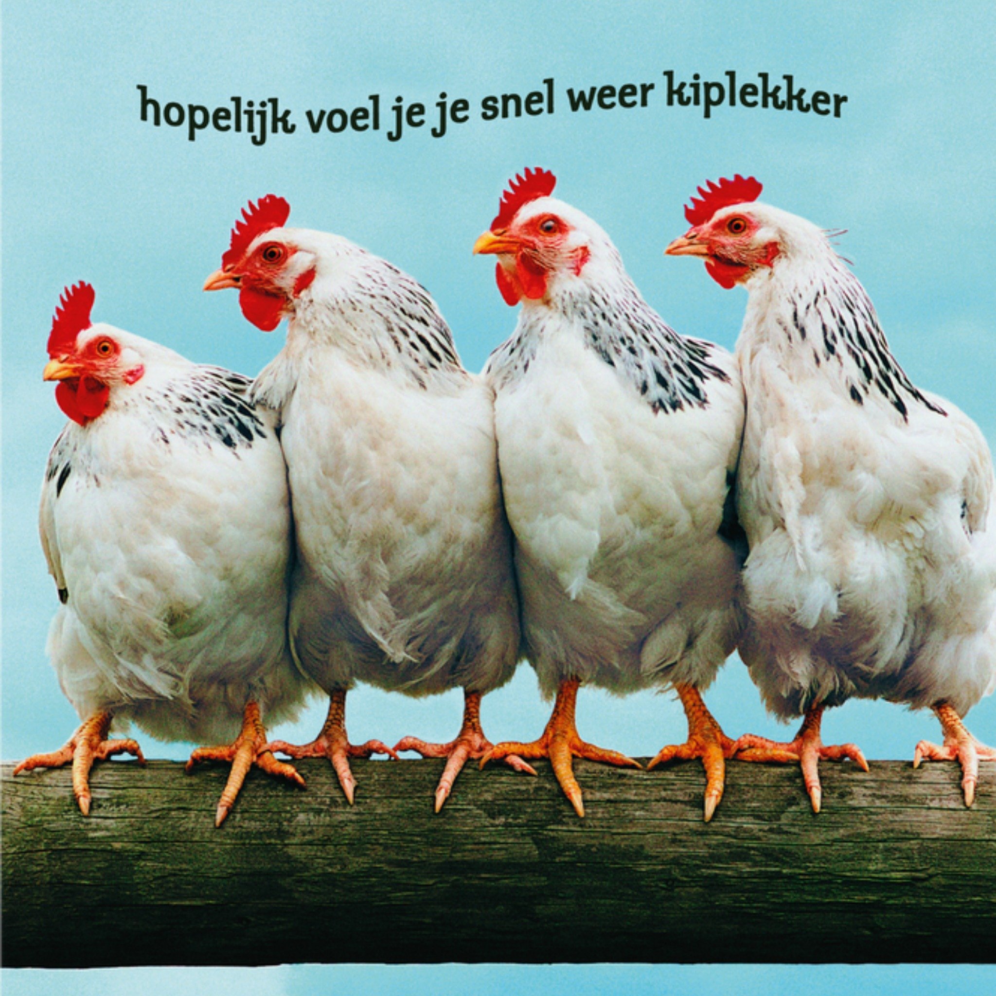 Beterschapskaart Kiplekker Vierkante Kaart TMS