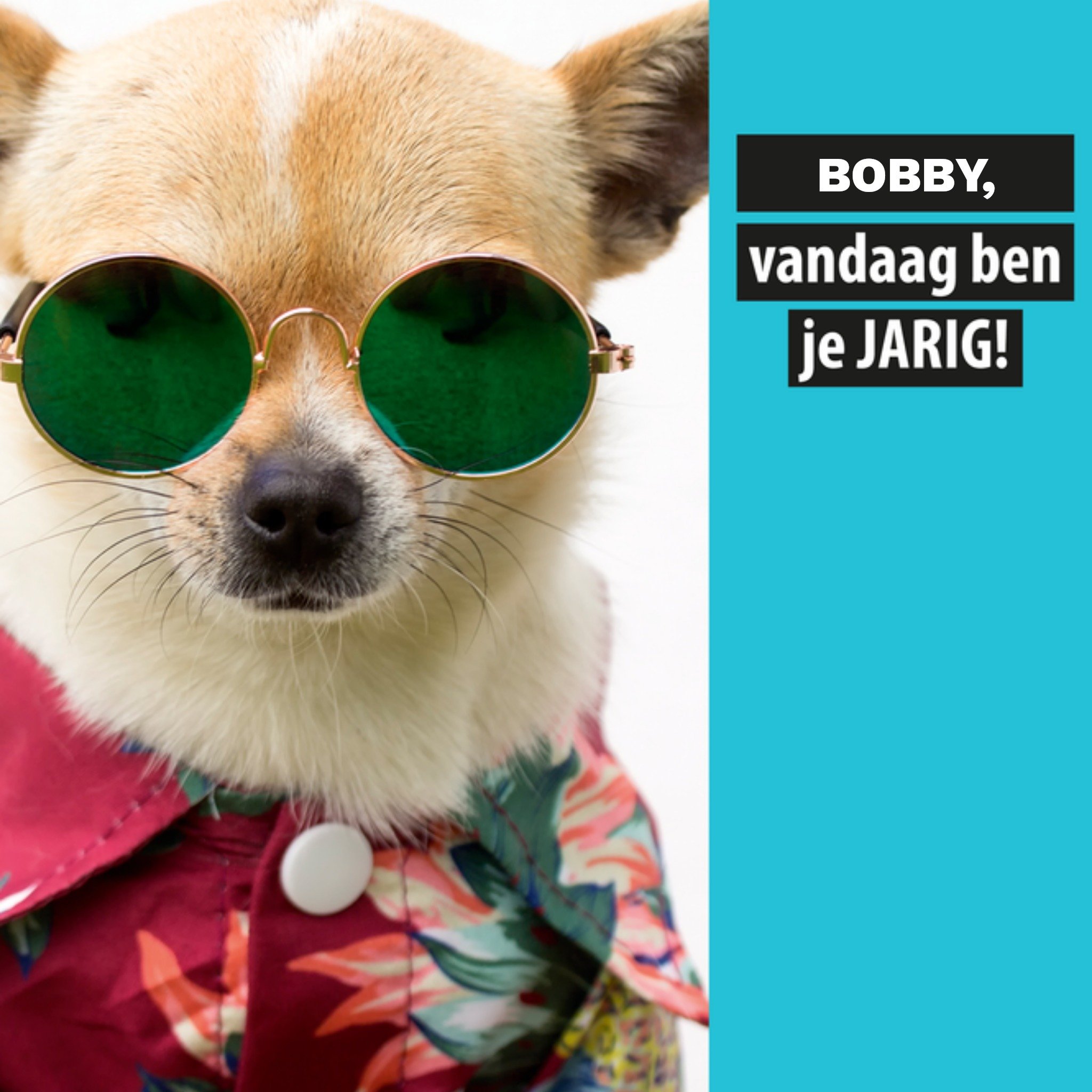 Verjaardagskaart Grappige hond Met naam Vierkante Kaart Paperclip