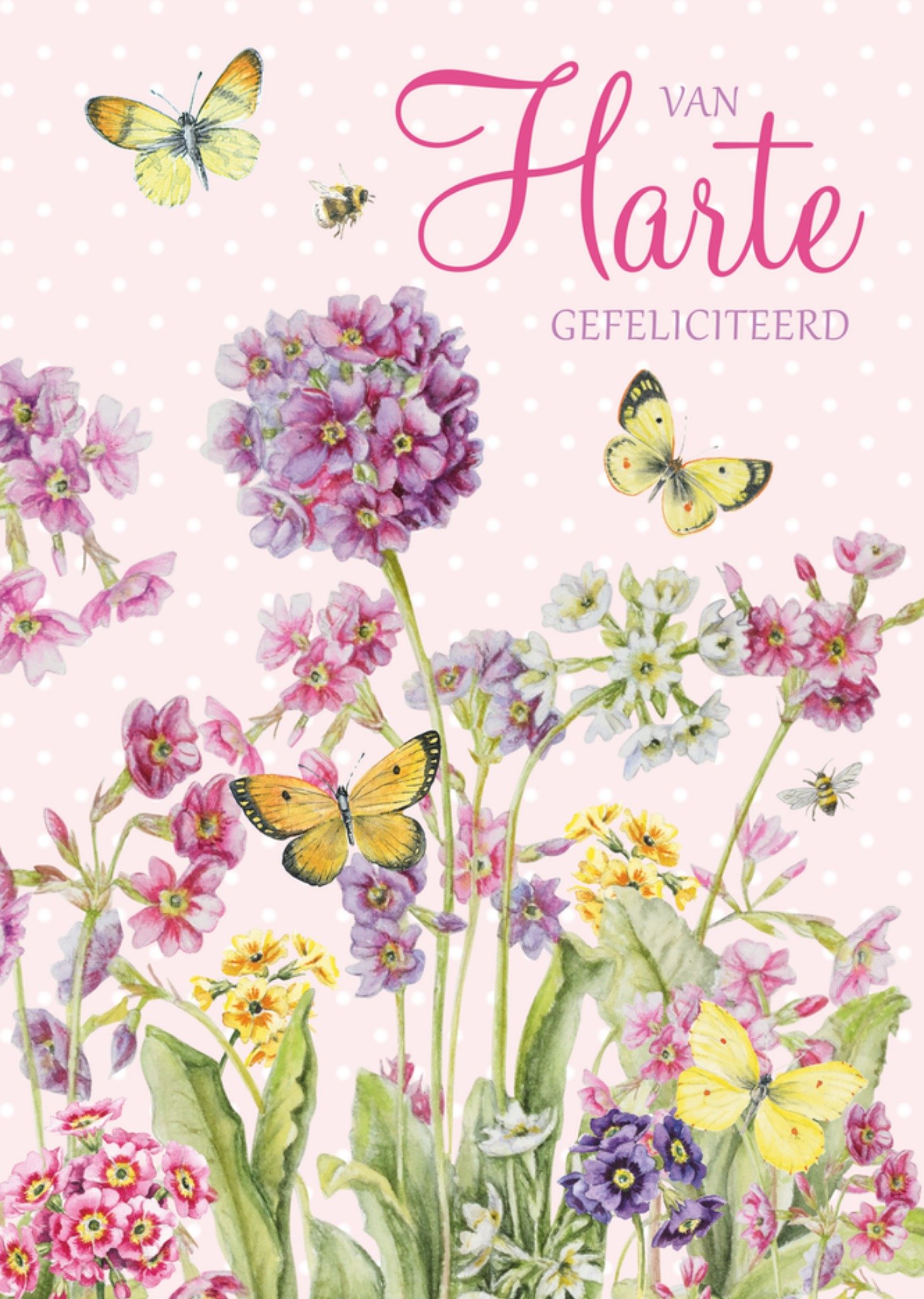 Verjaardagskaart Van harte gefeliciteerd Kaart Janneke Brinkman