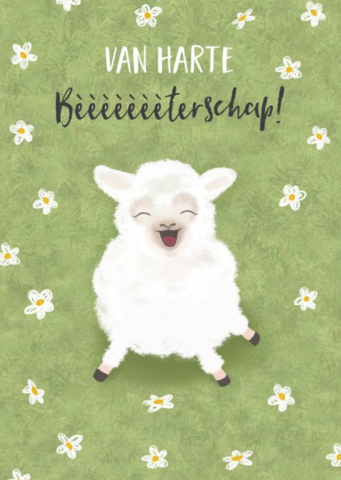 Tsjip | Beterschapskaart | Schaapje