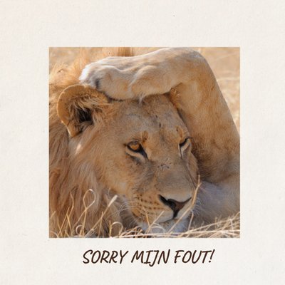 TMS | Sorry kaart | Zoon