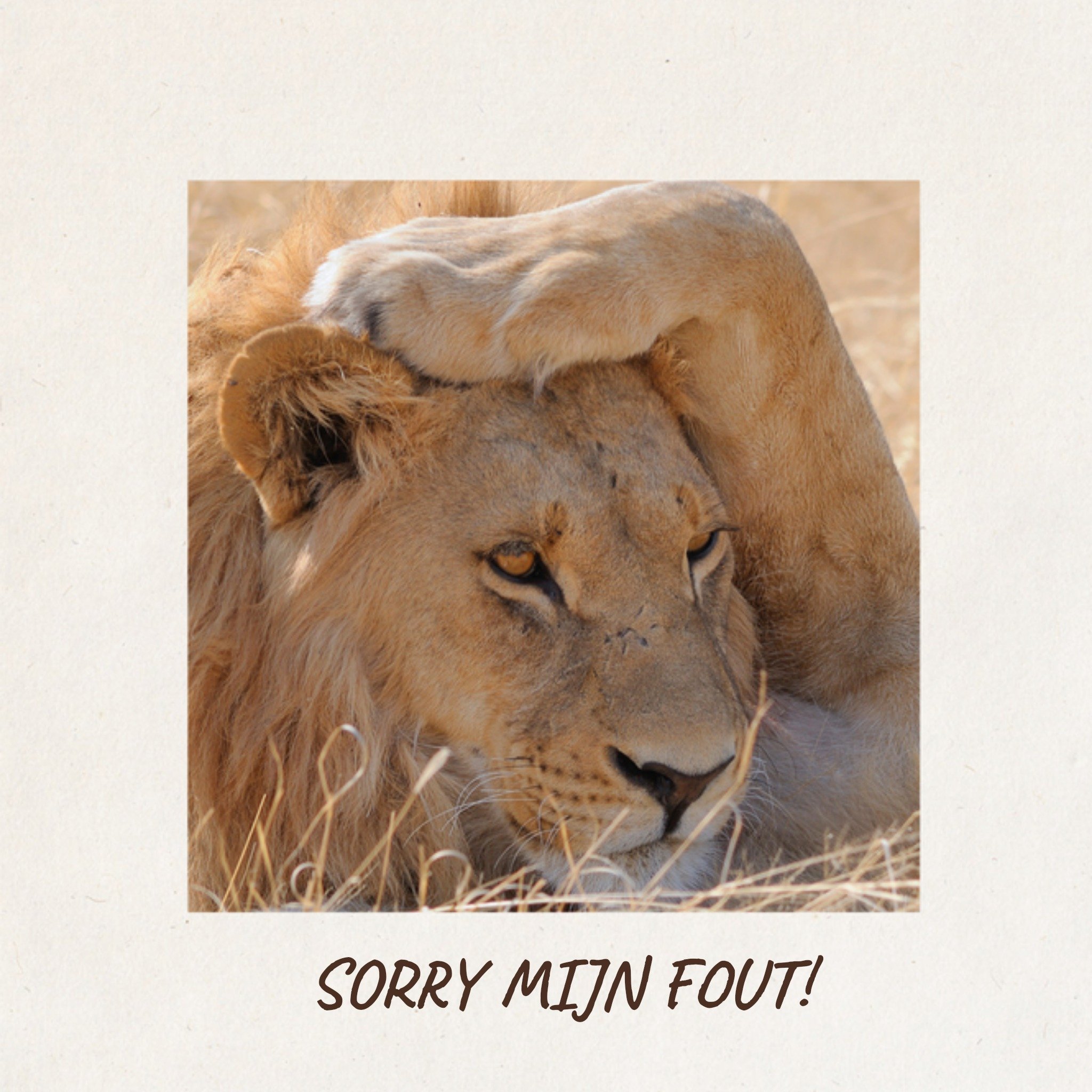 TMS - Sorry kaart - Zoon