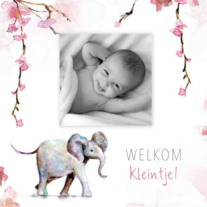 Michelle Dujardin | Geboorte | Meisje | Olifant