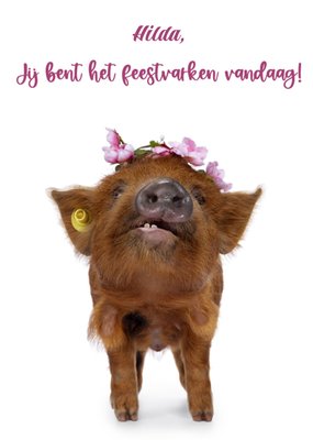 Jij Bent Het Feestvarken Vandaag Grappig Varken Verjaardag Kaart