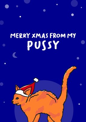 Liefs Jansje | Kerstkaart | kat