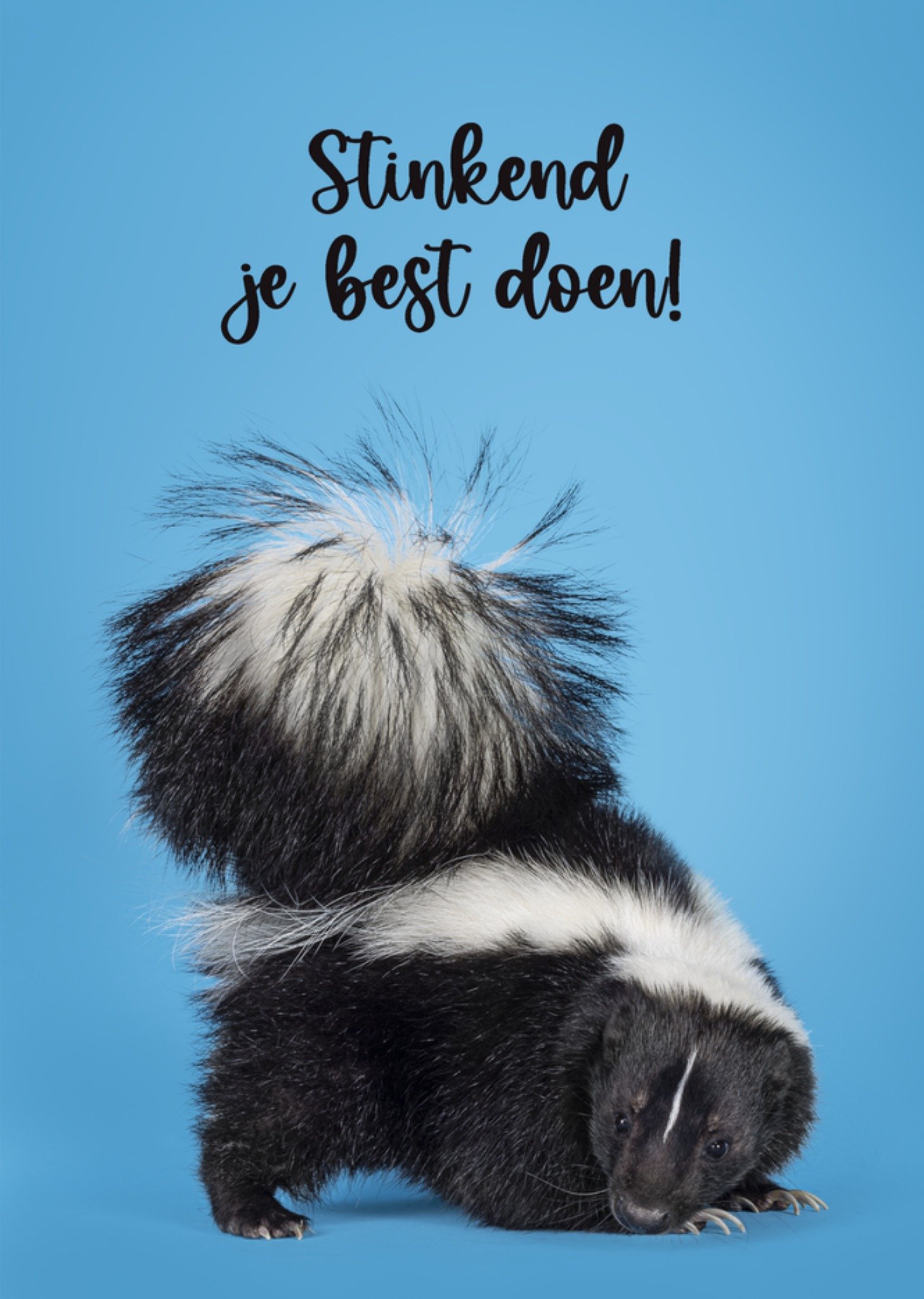 Succeskaart Stinkend Blauw Catchy Images