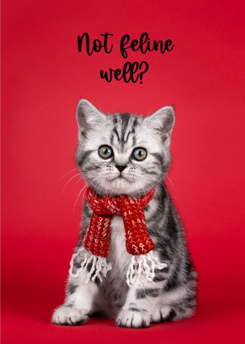 Catchy Images | Beterschapskaart | Not feline well?