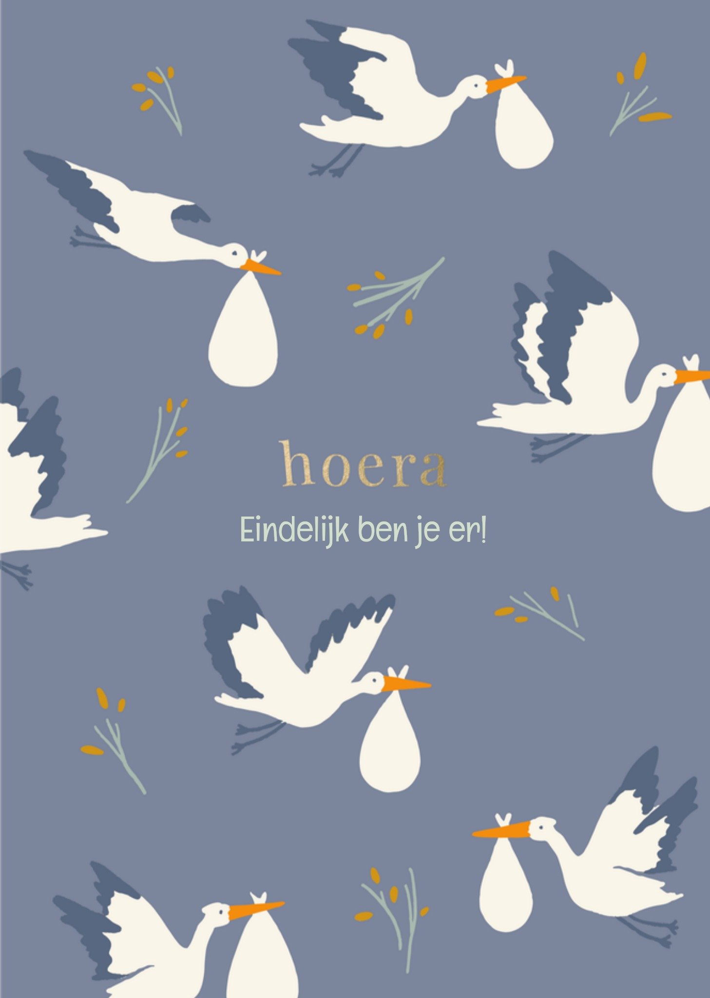 Geboortekaart Adoptie Met aanpasbare tekst Kaart Greetz