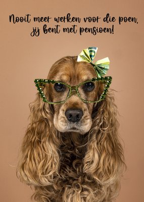 Catchy Images | Pensioenkaart | dieren