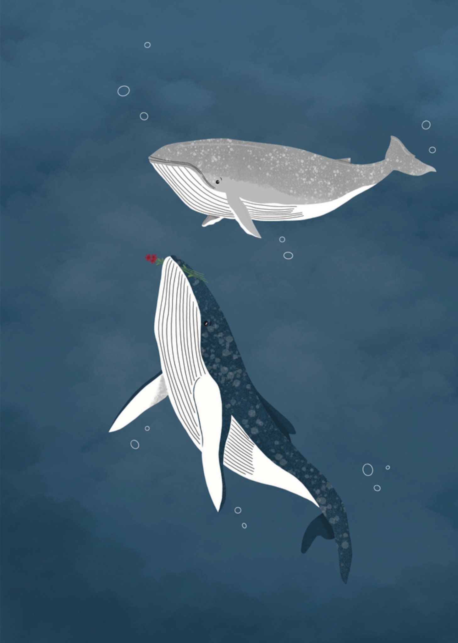 De Merkwaardige Studio Valentijnskaart Walvissen Kaart De merkwaardige studio