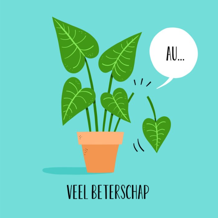 Greetz | Beterschapkaart | iets gebroken | plant