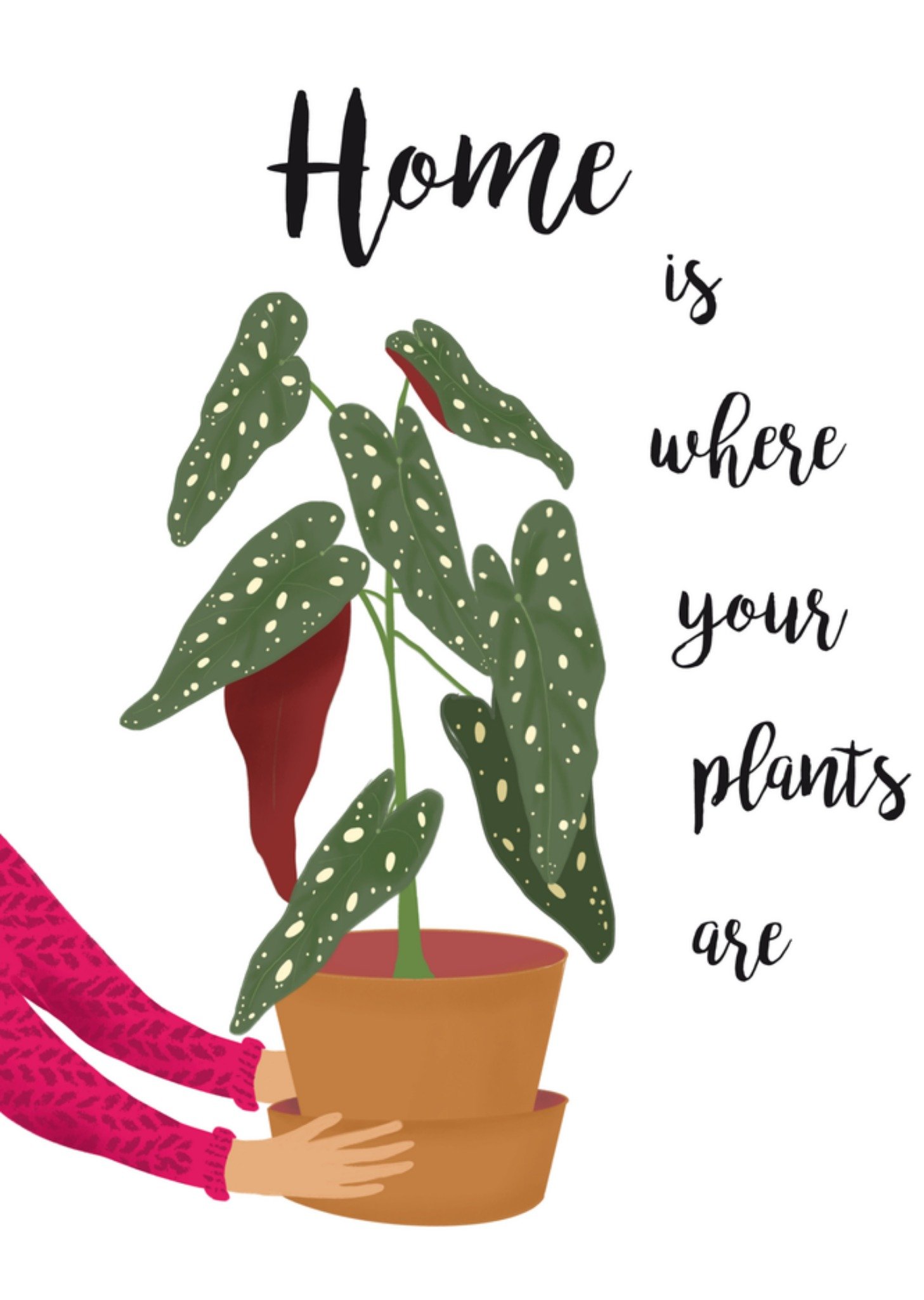 Verhuisbericht Stippenplant Tsjip