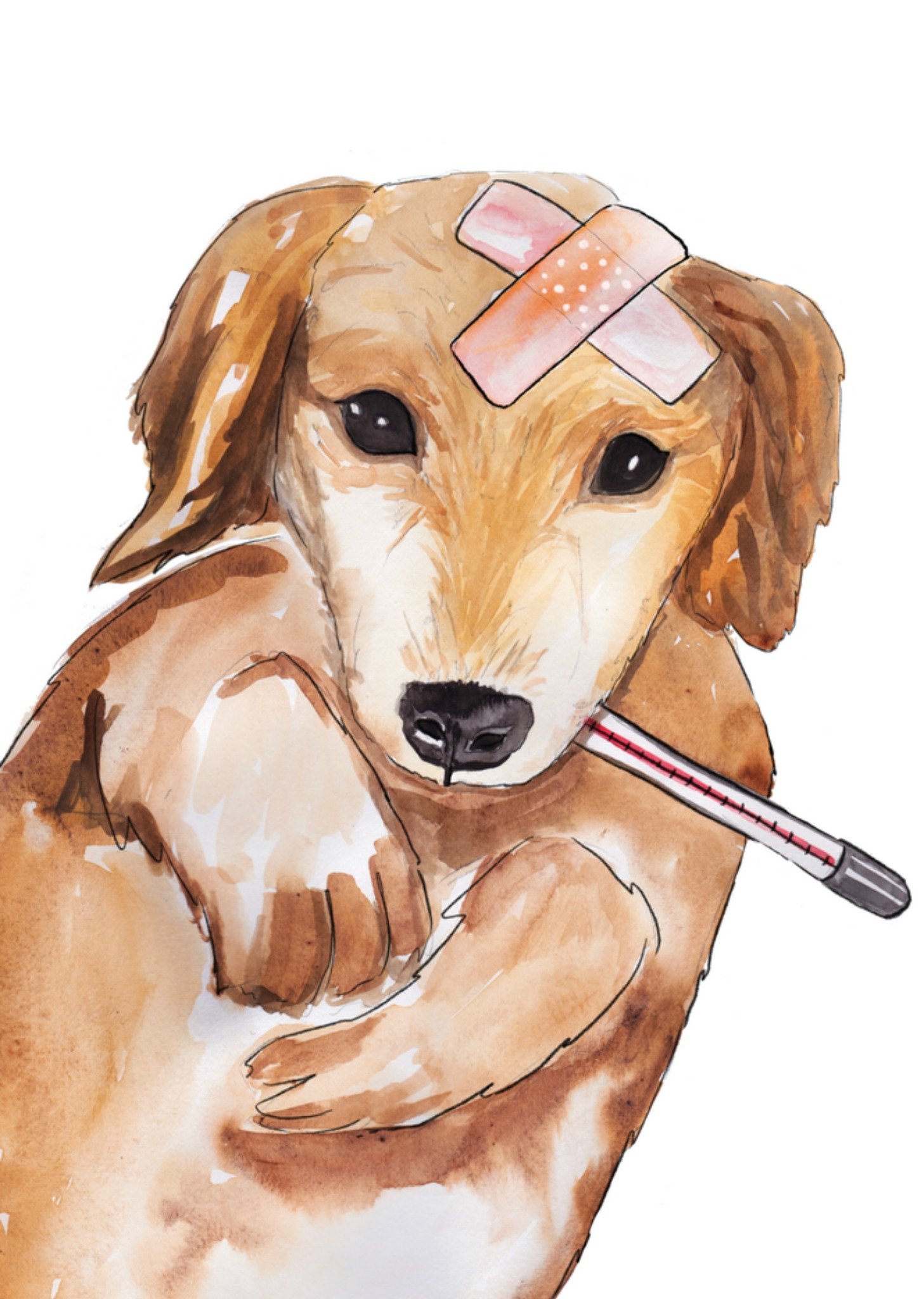 Marie Bodie Beterschapskaart Schattige hondje Kaart Marie Bodié