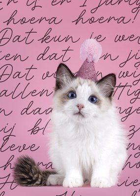 Catchy Images | Verjaardagskaart | Party Hat Cat