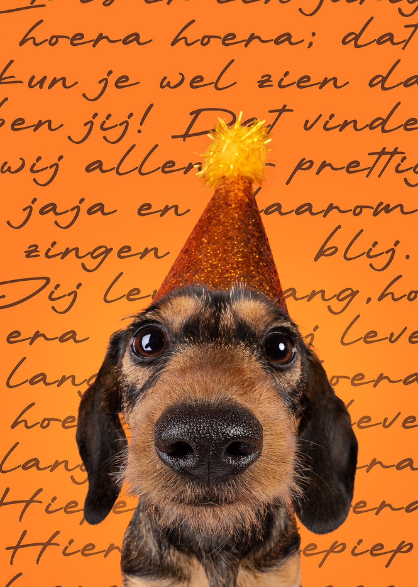 Verjaardagskaart Hoera hoera Kaart Catchy Images