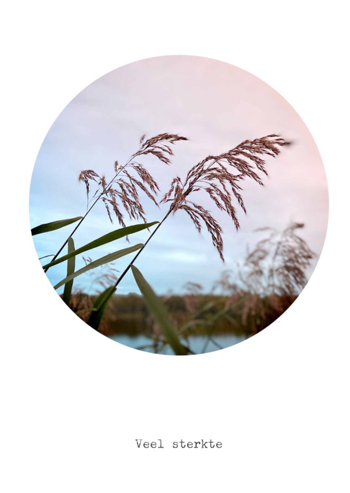 Bright Spot Sterkte kaart landschap Standard Card