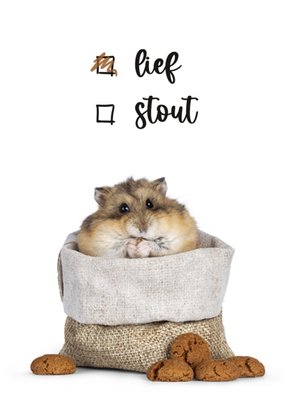Lief Of Stout Hamster Sinterklaas Kaart