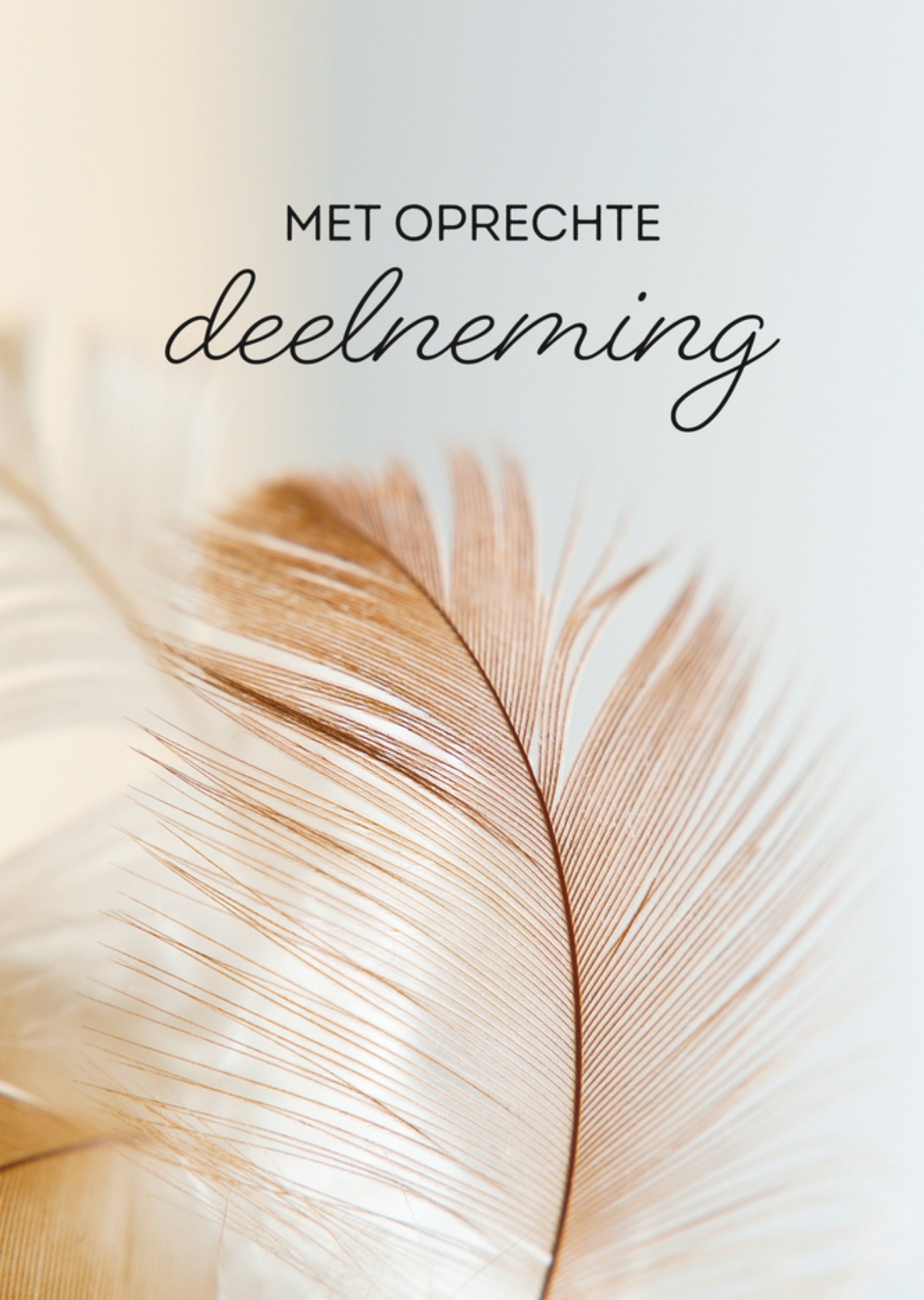 Condoleancekaart Veer Kaart TMS