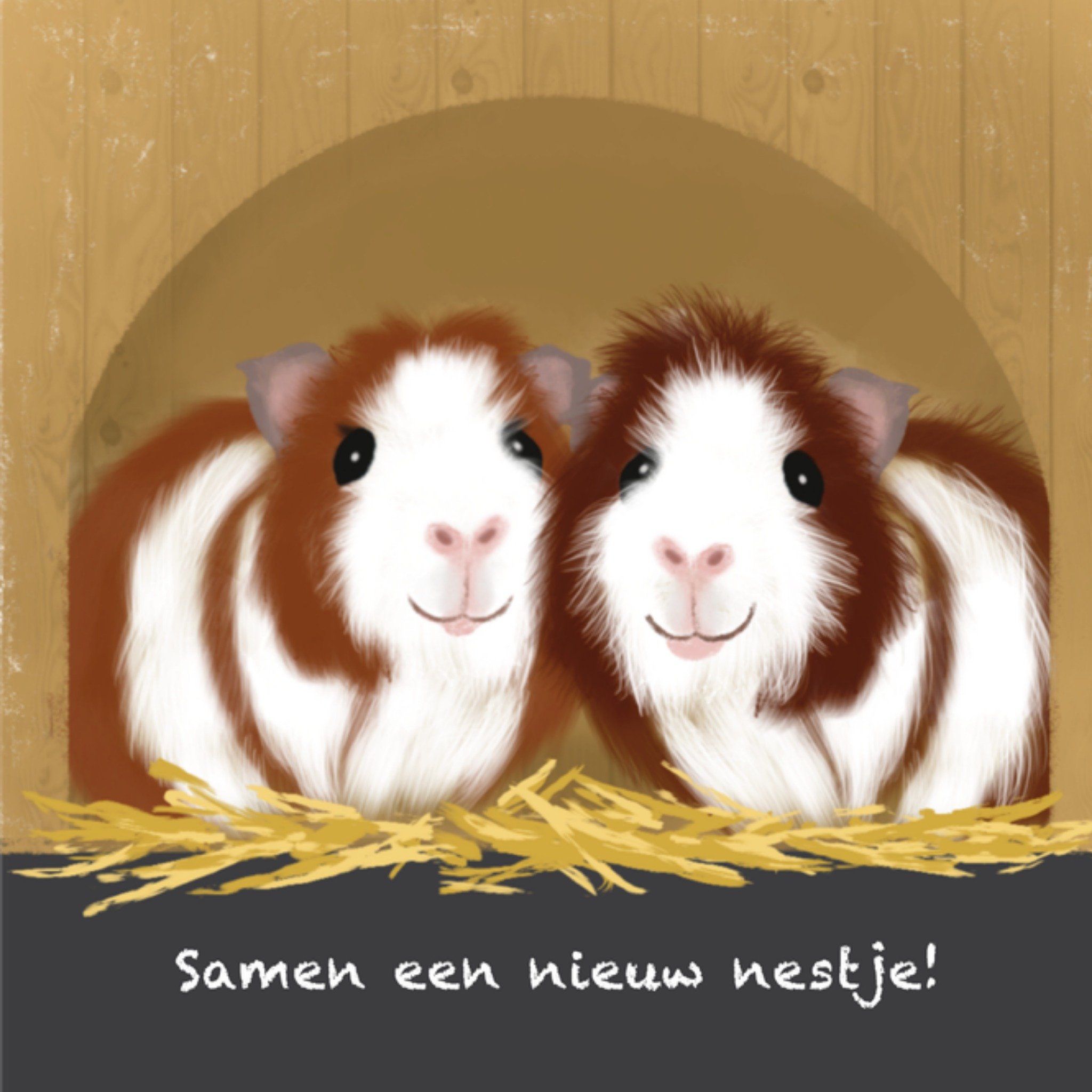 Nieuwe woning kaart Cavias Schattig Vierkante Kaart Tsjip