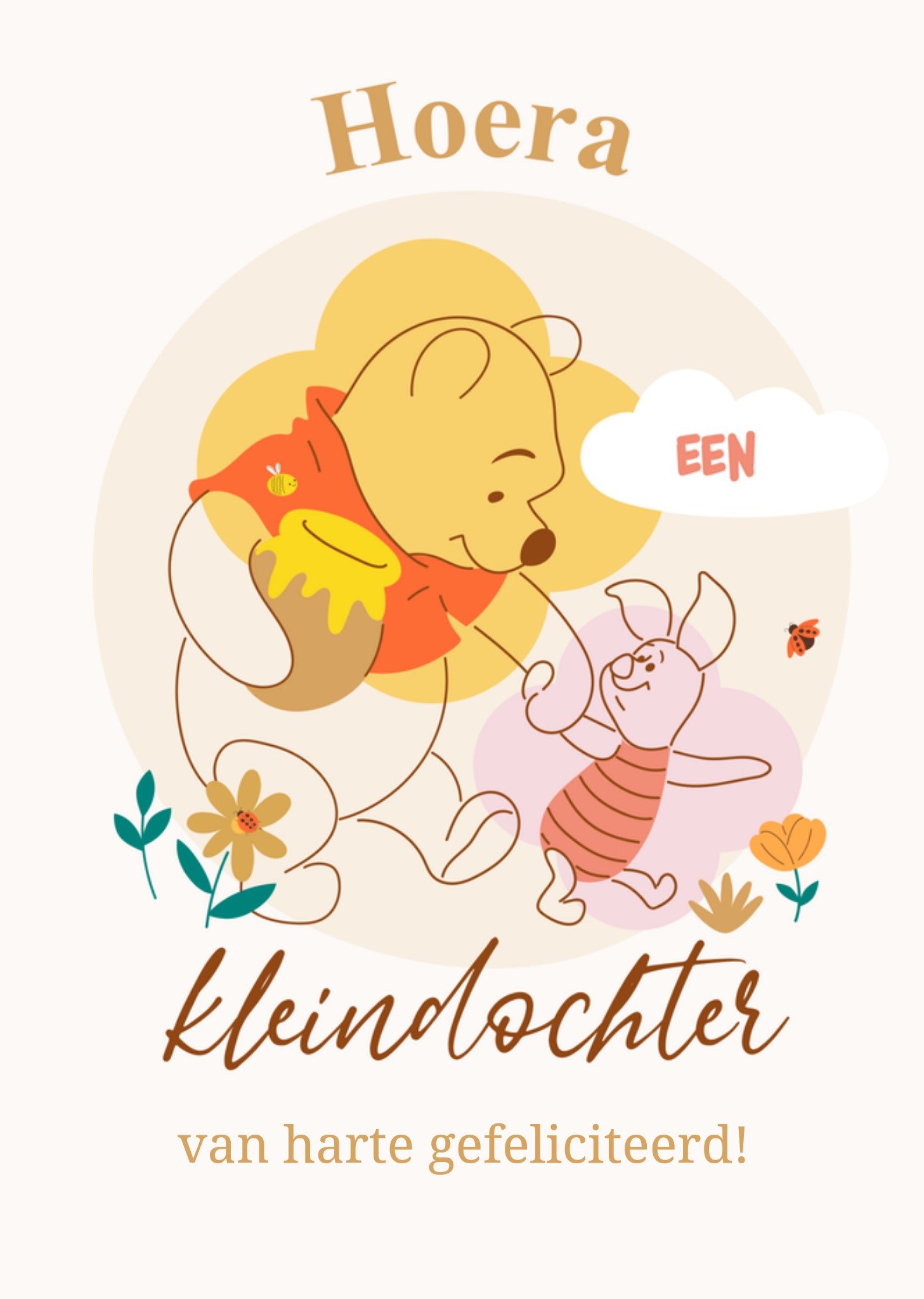 Geboortekaart Winnie the Pooh Kleindochter Kaart Disney