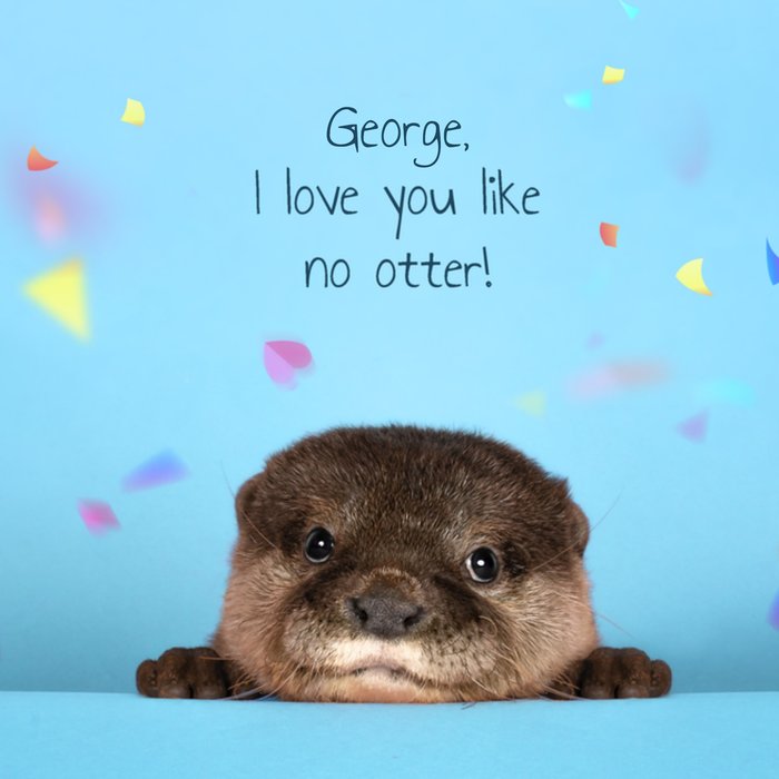 Catchy Images | Valentijnskaart | Love you like no otter