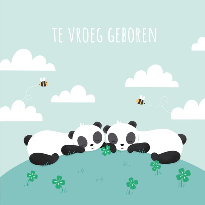 Kleine Twinkeltjes | Geboortekaart | panda