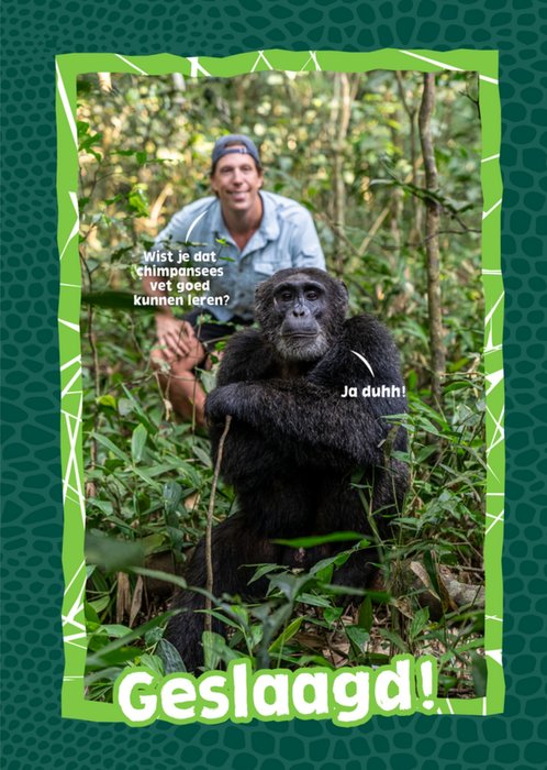 Freek Vonk | Geslaagdkaart | Chimpansee