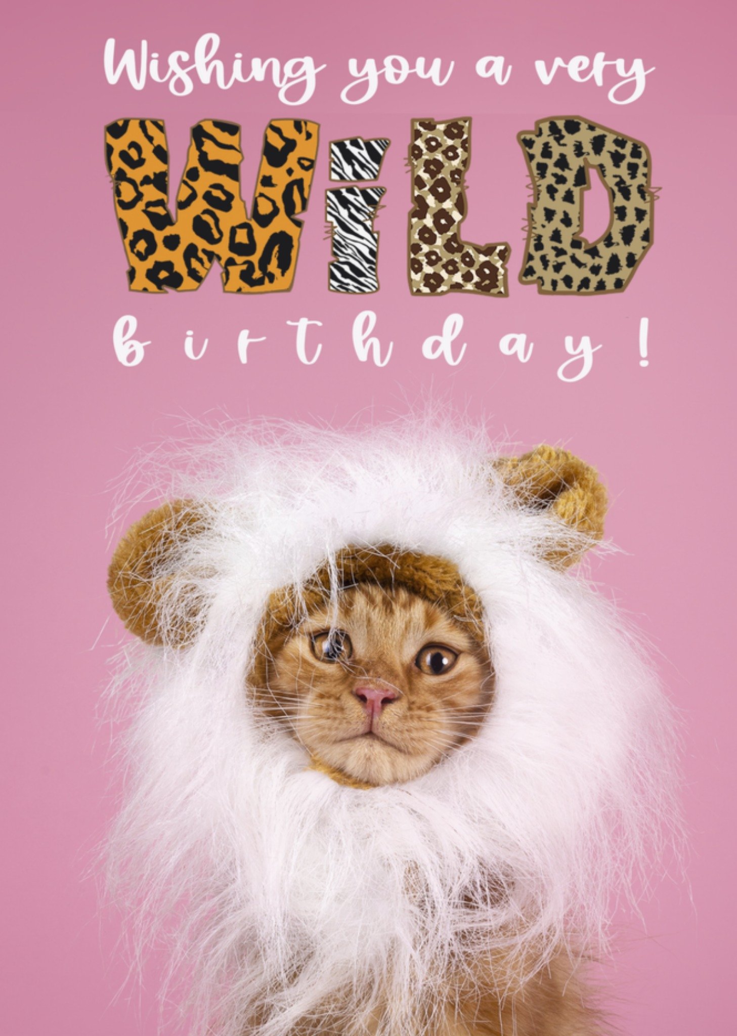 Catchy Images Verjaardagskaart Wild Standard Card