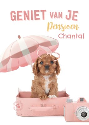 Studio Pets Geniet Van Je Pensioen Puppy Kaart