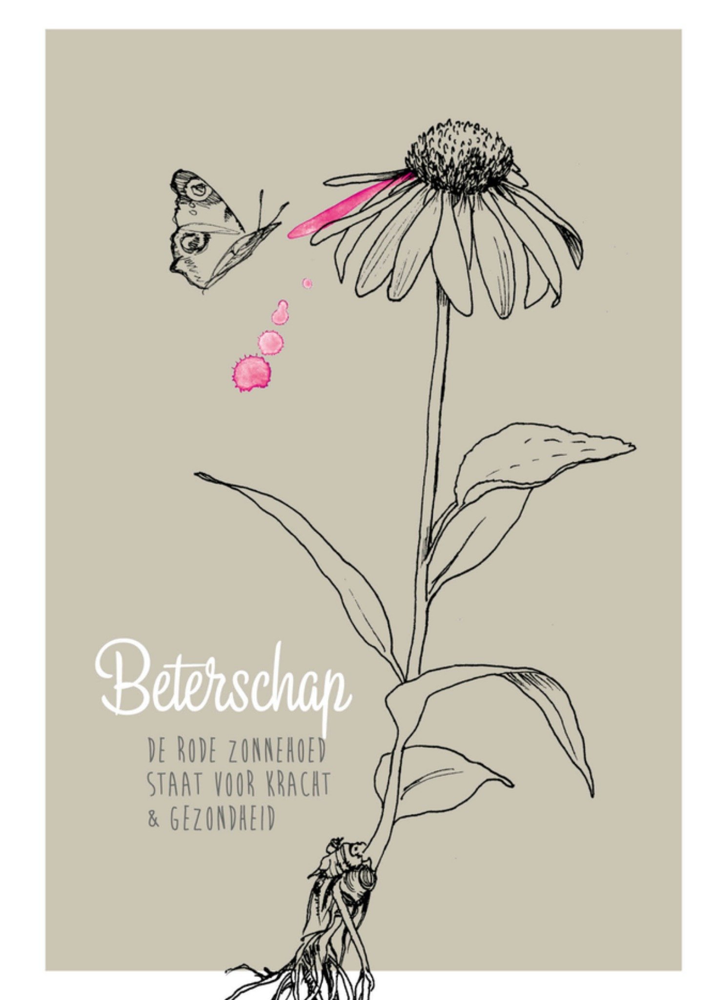 Beterschapskaart Illustratie bloem en vlinder Kaart Veer Moon