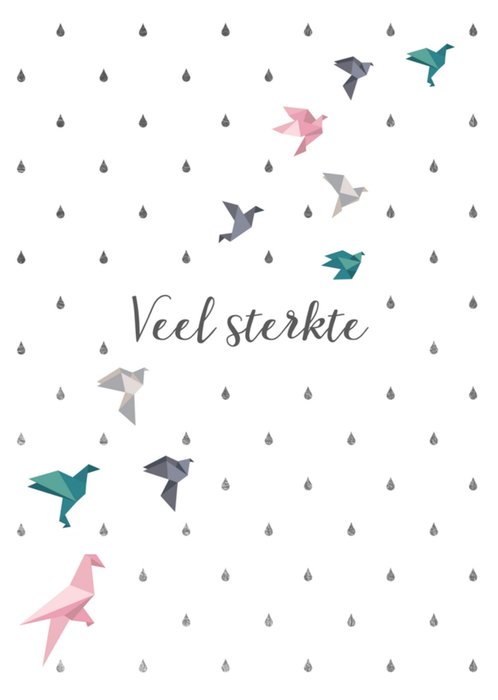 TMS | Sterkte kaart | vogels
