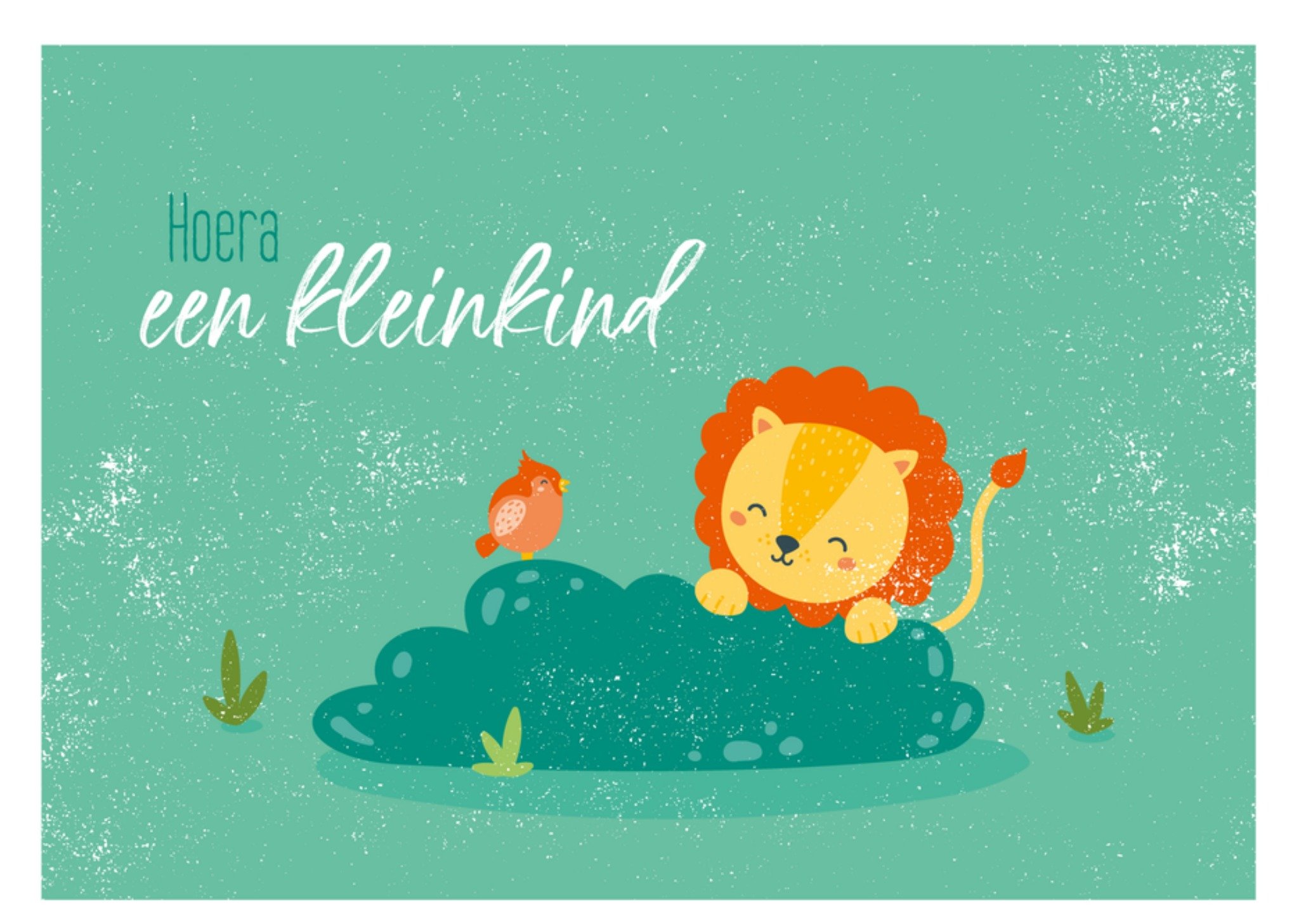 Geboortekaart Kleinkind Kaart Paperclip