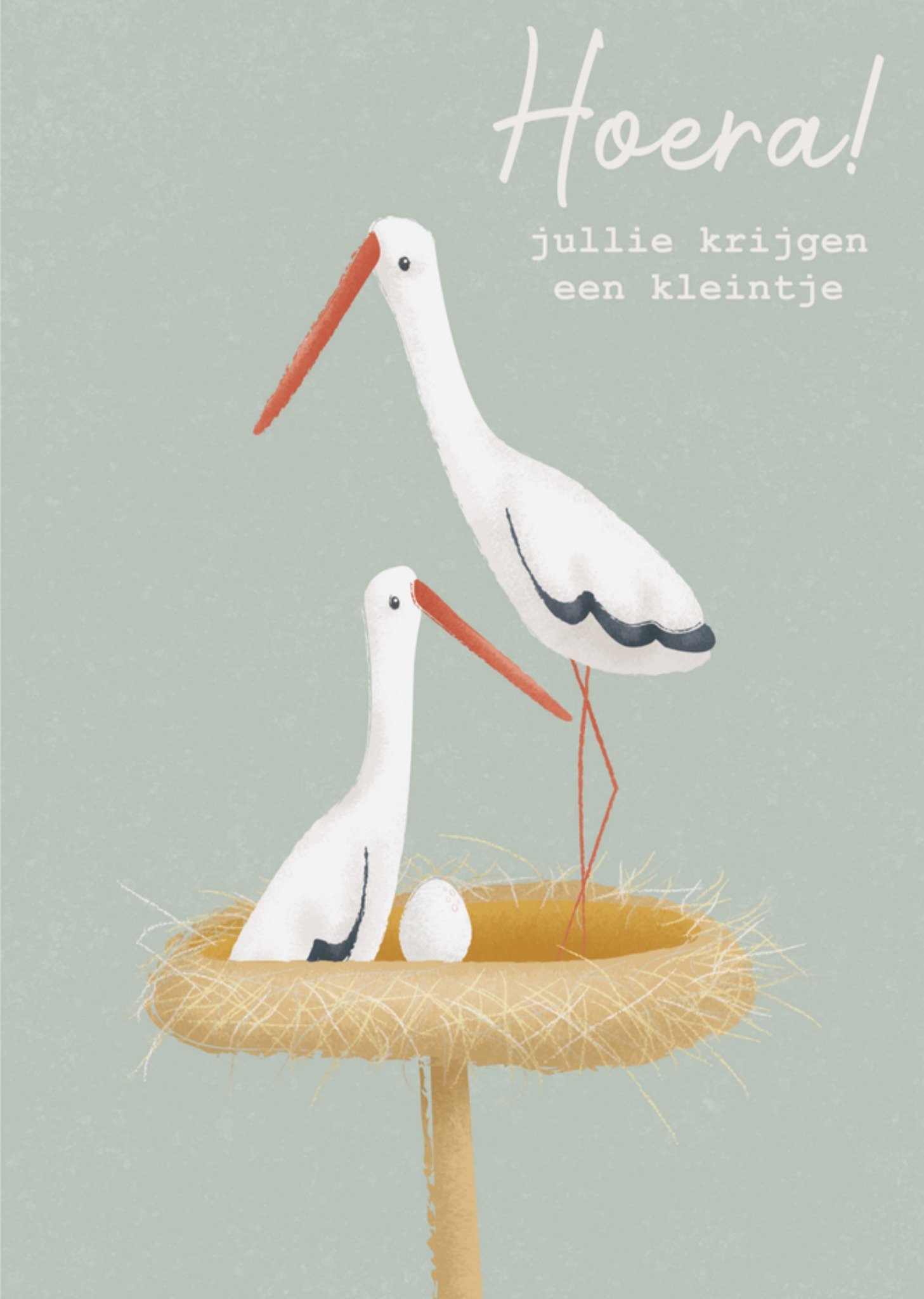 Zwangerschapskaart Ouders Kaart Little Dutch