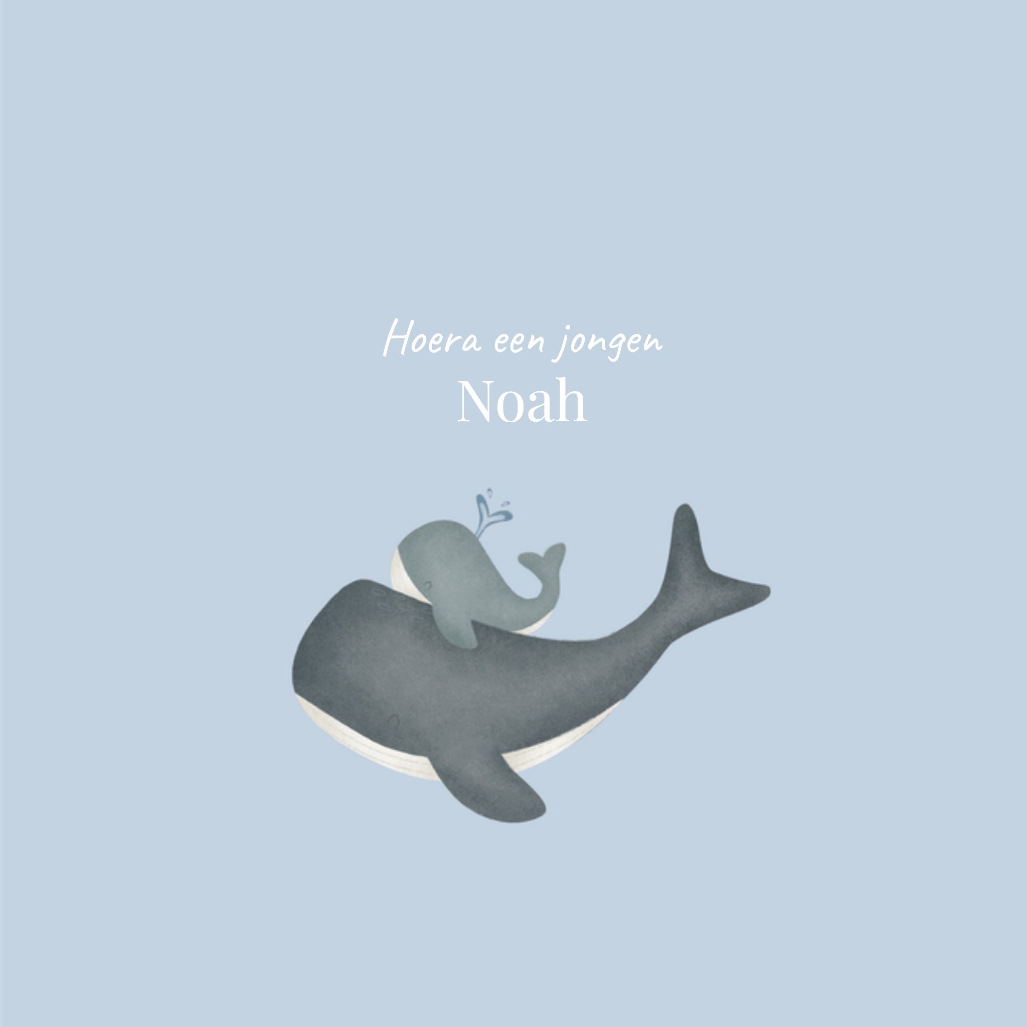 Geboortekaart Walvis Vierkante Kaart Little Dutch