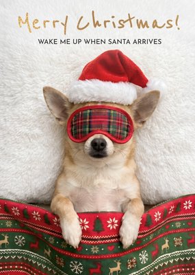 Maak Me Wakker Als De Kerstman Komt Hond Kerstkaart