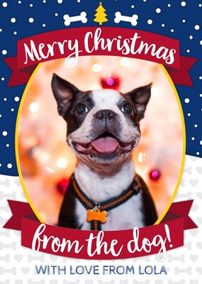 Greetz | Kerstkaart | Hond | Foto