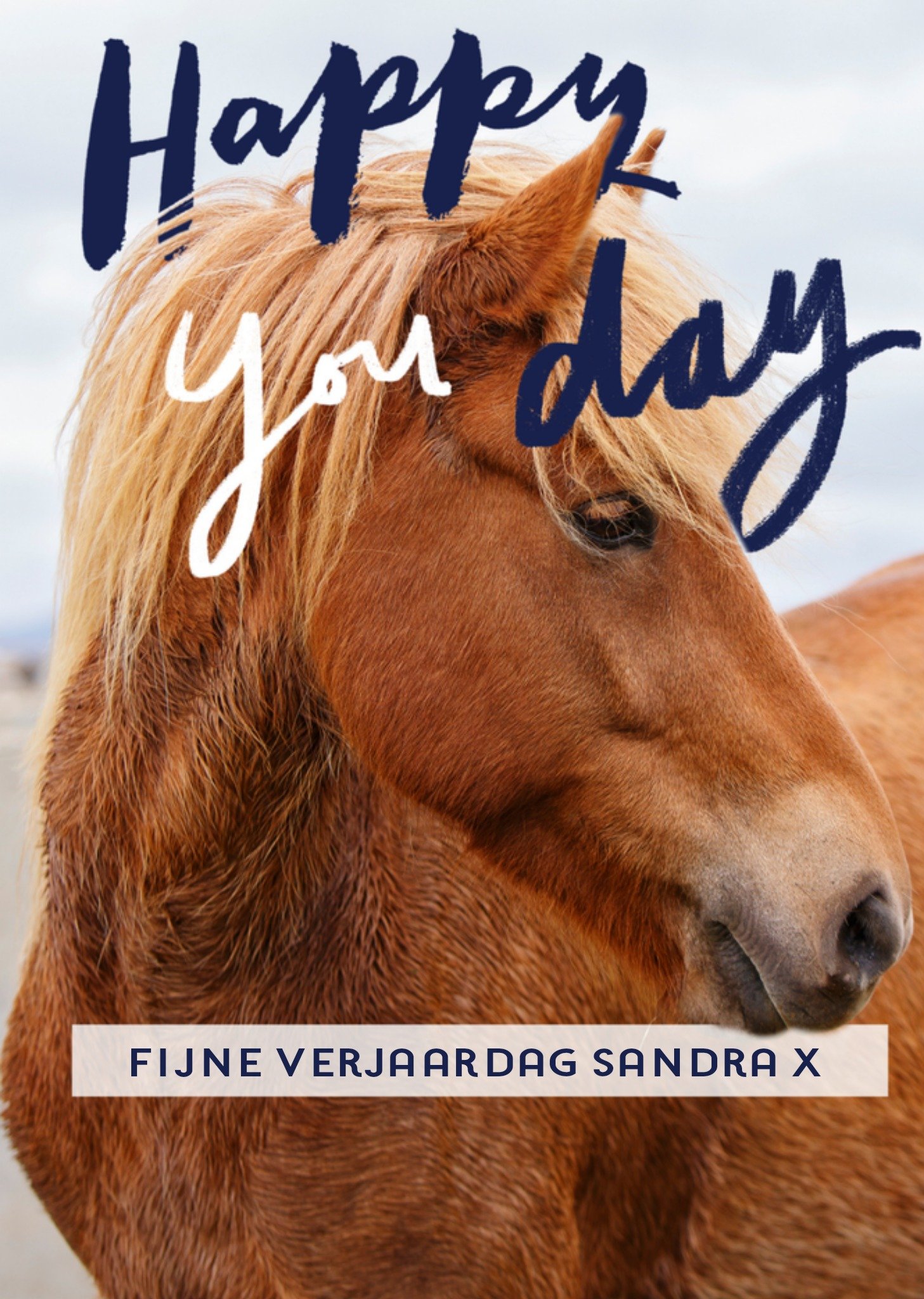 Verjaardagskaart paard met naam Greetz