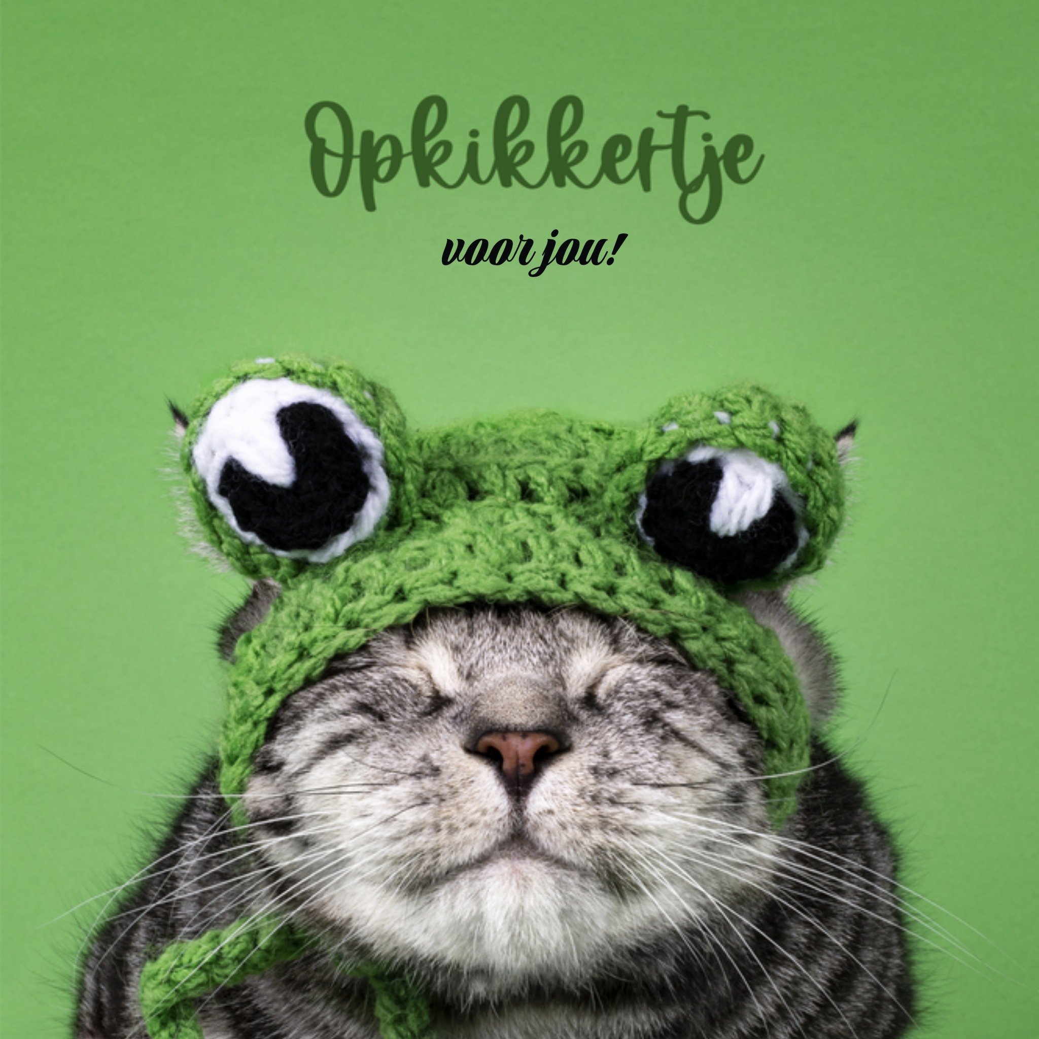 Catchy Images | Beterschapskaart | Opkikkertje voor jou | Square Card