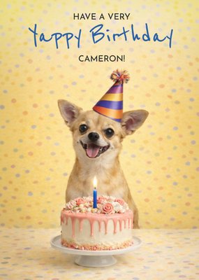 Party Animals Yappy Birthday Hond Met Feesthoed En Taart Verjaardagskaart