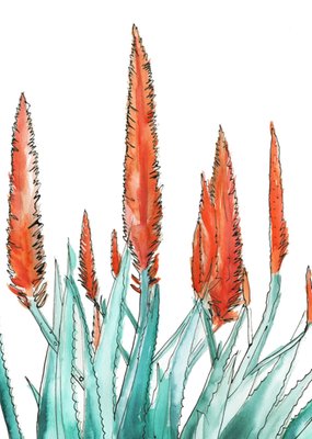 Marie Bodié | Denken aan kaart | bloemen