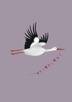 De Merkwaardige Studio | Geboortekaart | Meisje