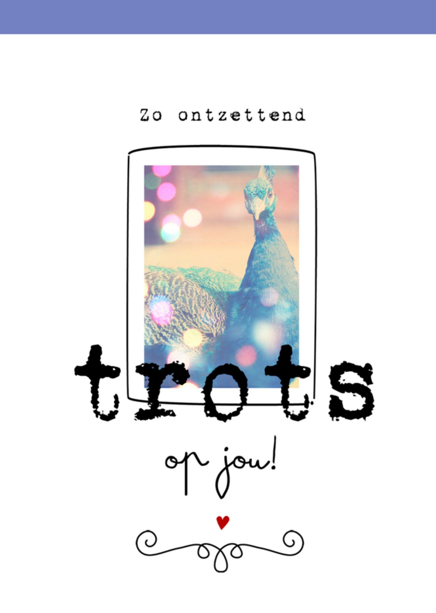 Complimenten kaart trots op jou Kaart Paperclip