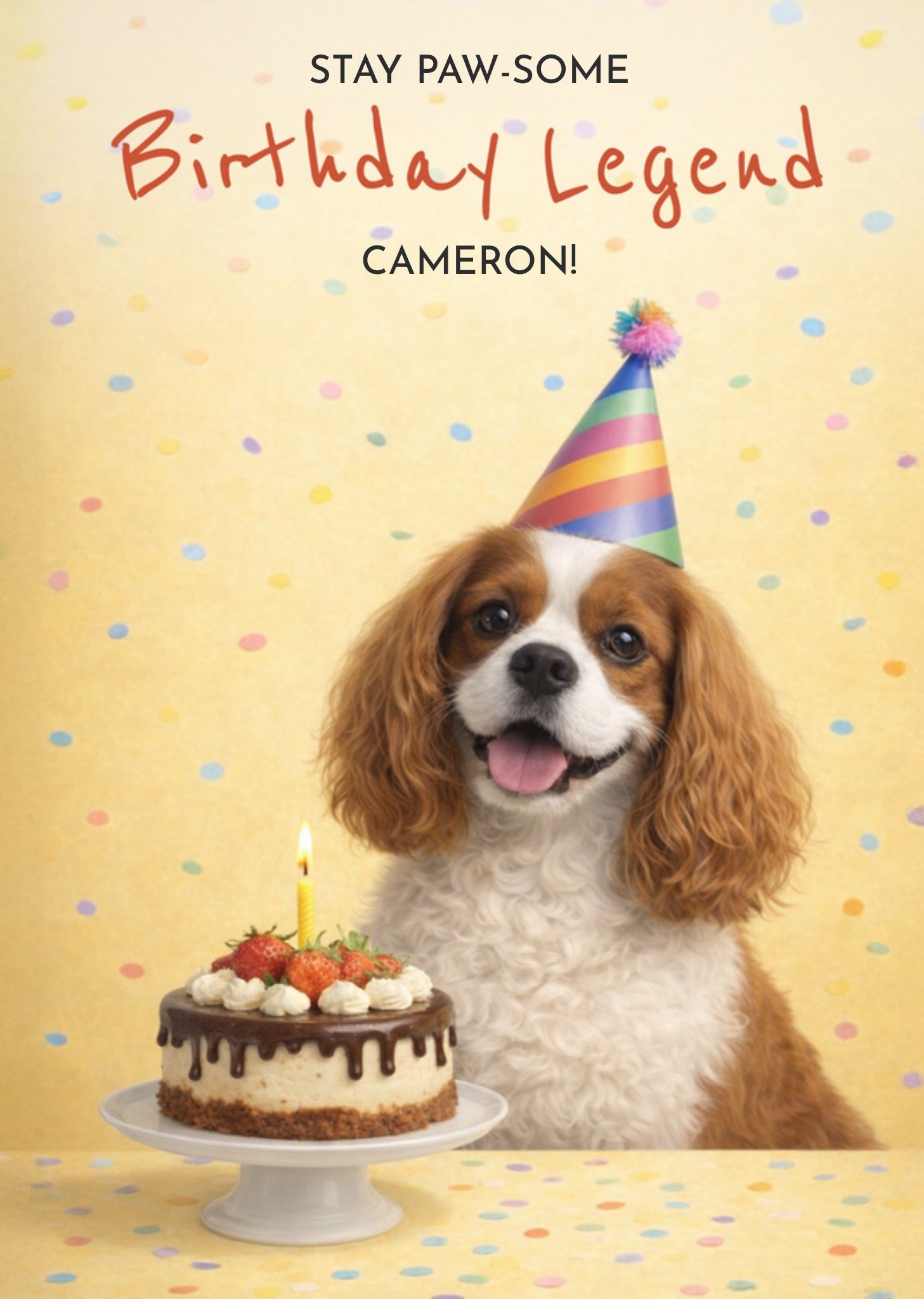 Verjaardagskaart Stay paw some birthday legend Greetz