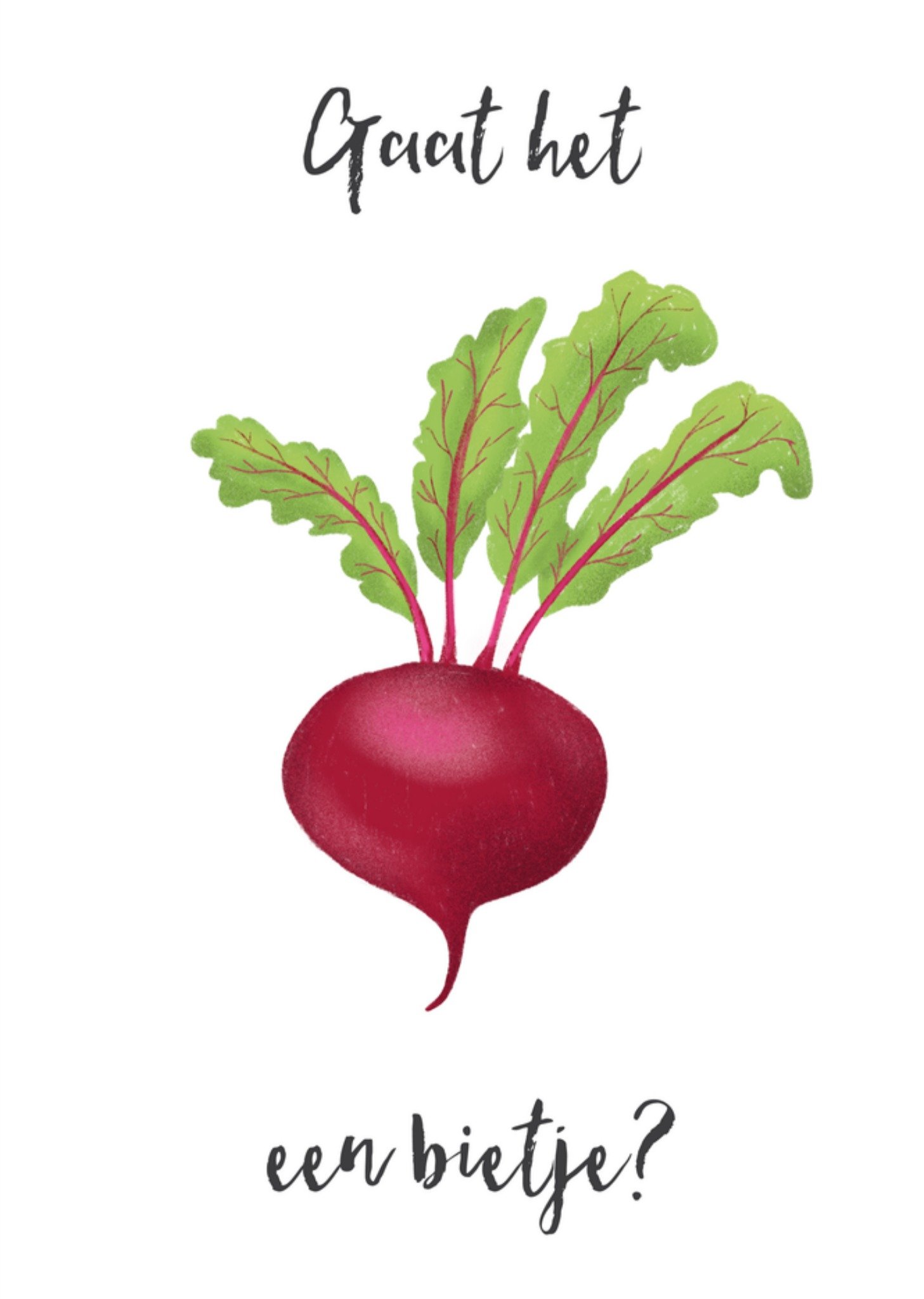 Beterschapskaart Bietje Kaart Tsjip