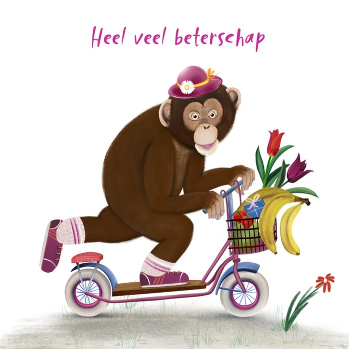 Patricia Hooning | Beterschapskaart | Aap op haar scooter