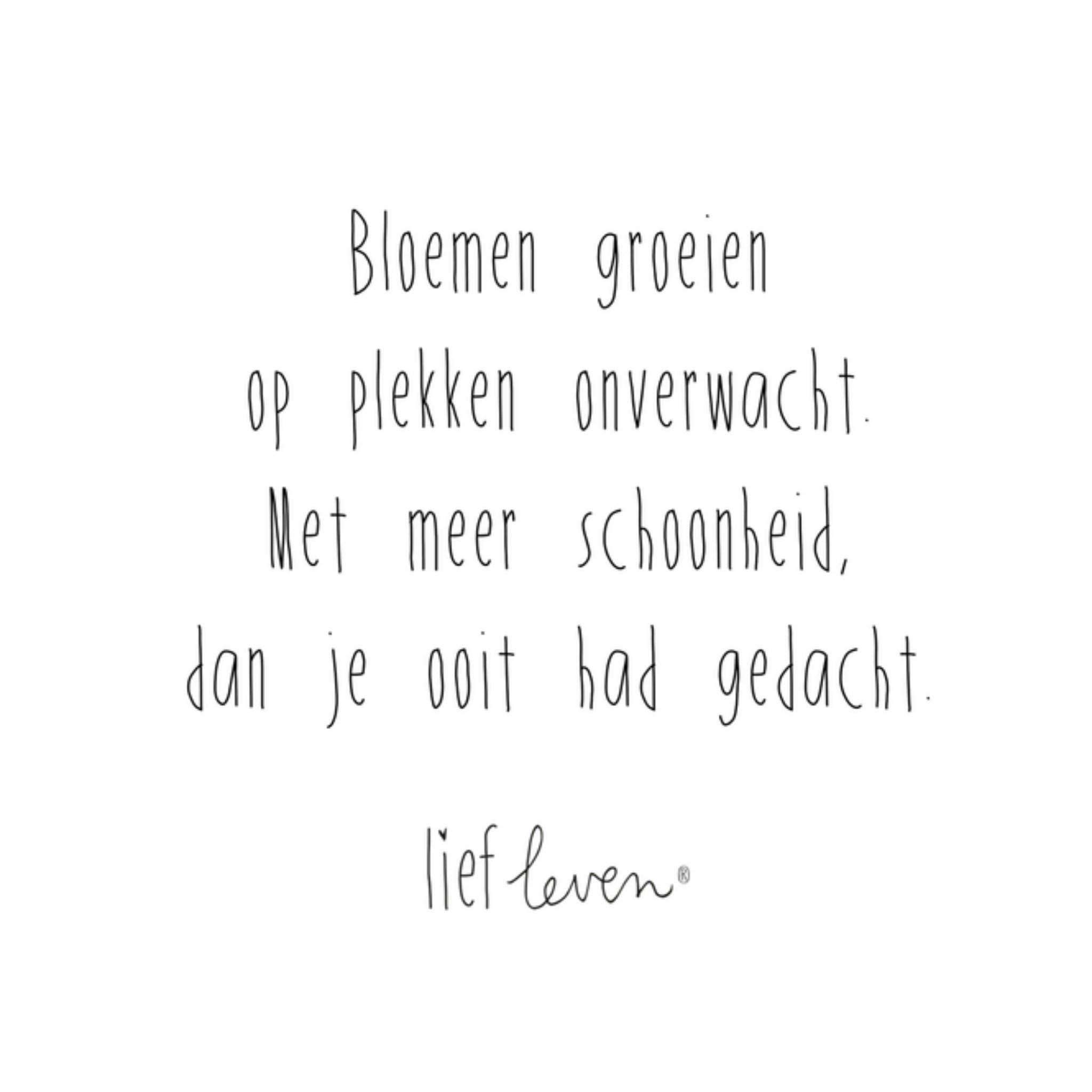 Quote Schoonheid Vierkante Kaart Lief Leven
