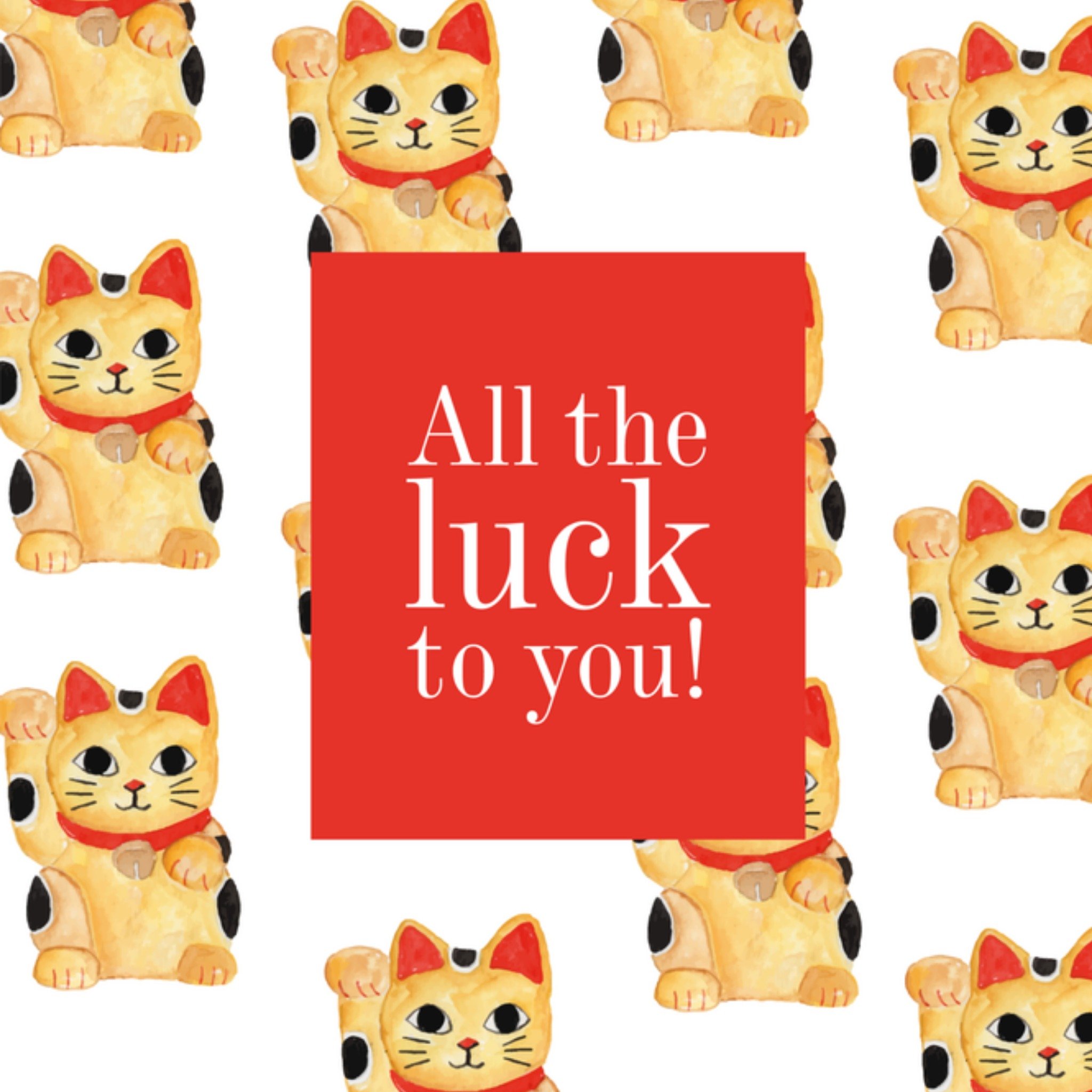 Greetz Gezakt kaarten Kat Vierkant